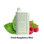Pod Salt Nexus 6000 Puffs 20mg Disposable Vape in UAE - Image 5